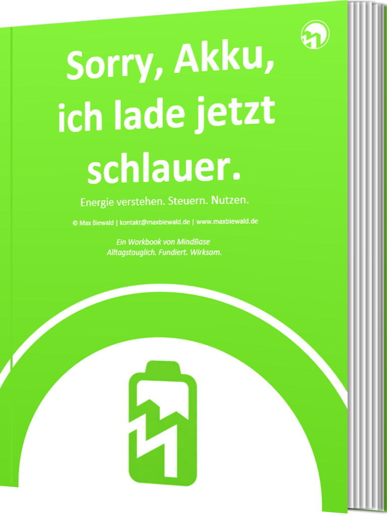 Sorry, Akku, ich lade jetzt schlauer! Workbook. Energie verstehen. Steuern. Nutzen.